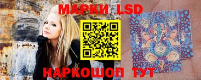 гидропоника Балашиха