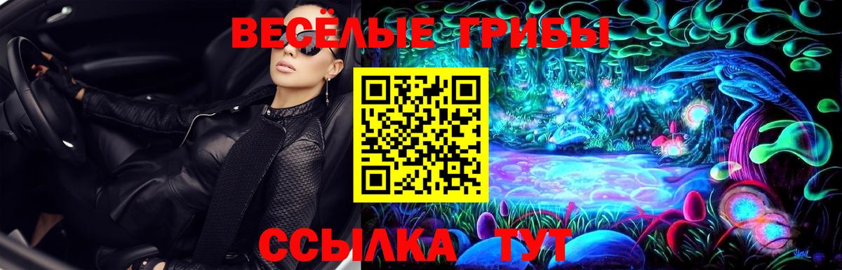 Псилоцибиновые грибы мухоморы Гусь-Хрустальный