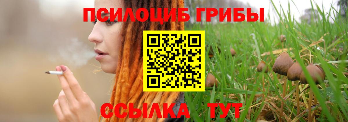 Галлюциногенные грибы MAGIC MUSHROOMS  Галлюциногенные грибы Psilocybine cubensis  Вход с VPN  Гусь-Хрустальный 